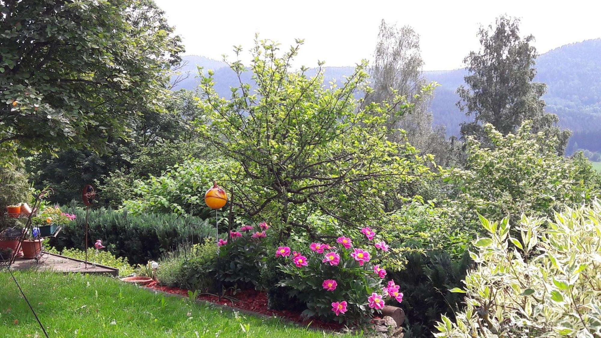 Fewo-Harlachberg-Blick-1 Bodenmais Exterior foto